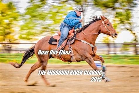 a MUST read for people who order from HORSEPRERACE.com.